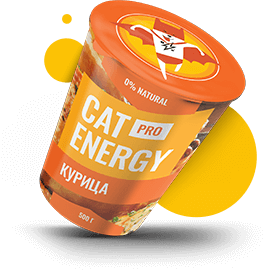 Cat-energy-can